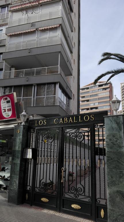 Apartamentos Los Caballos Benidorm Eksteriør bilde